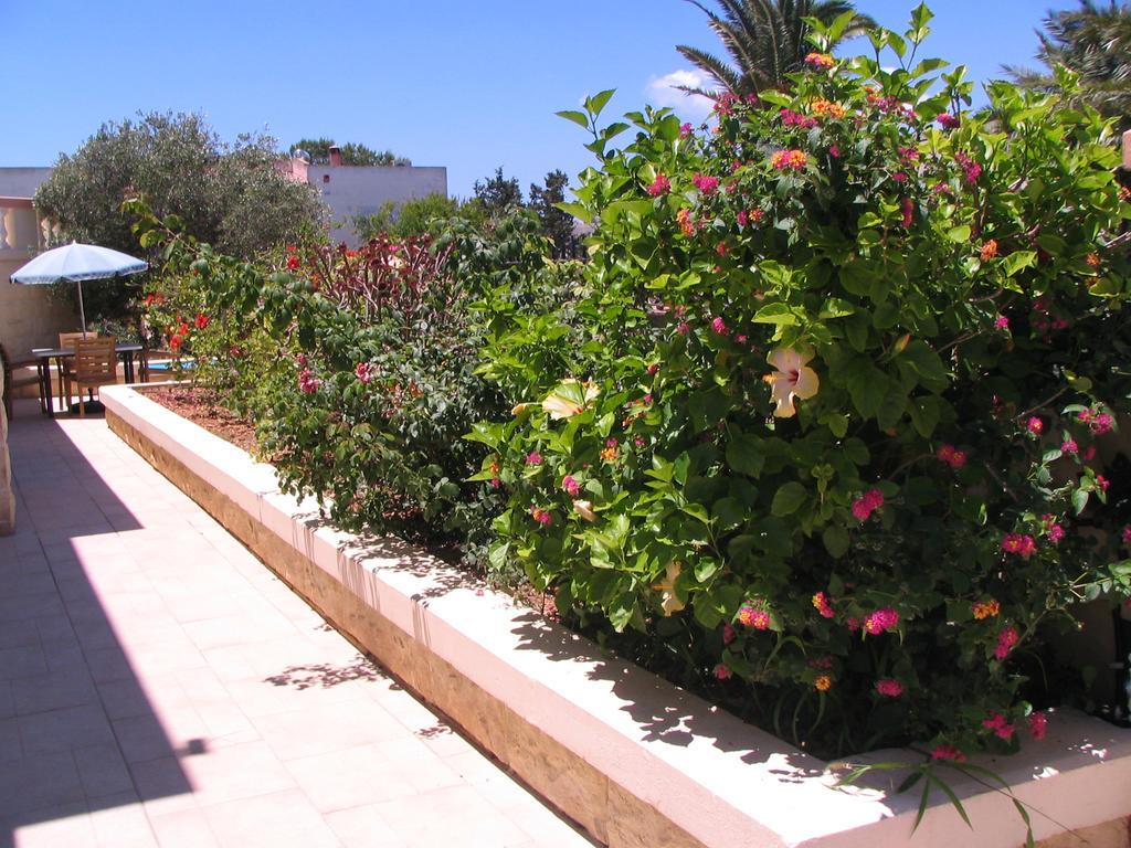 Tranquil Villa Apartments Units Mellieħa Eksteriør bilde